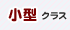 ���ʏ�p��