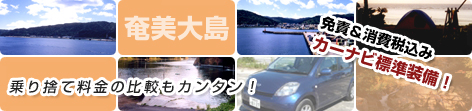 �J�[�i�r�W������