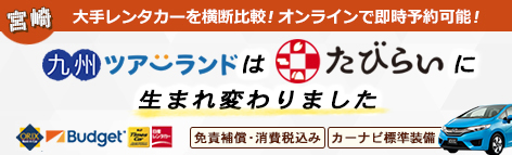 �J�[�i�r�W������